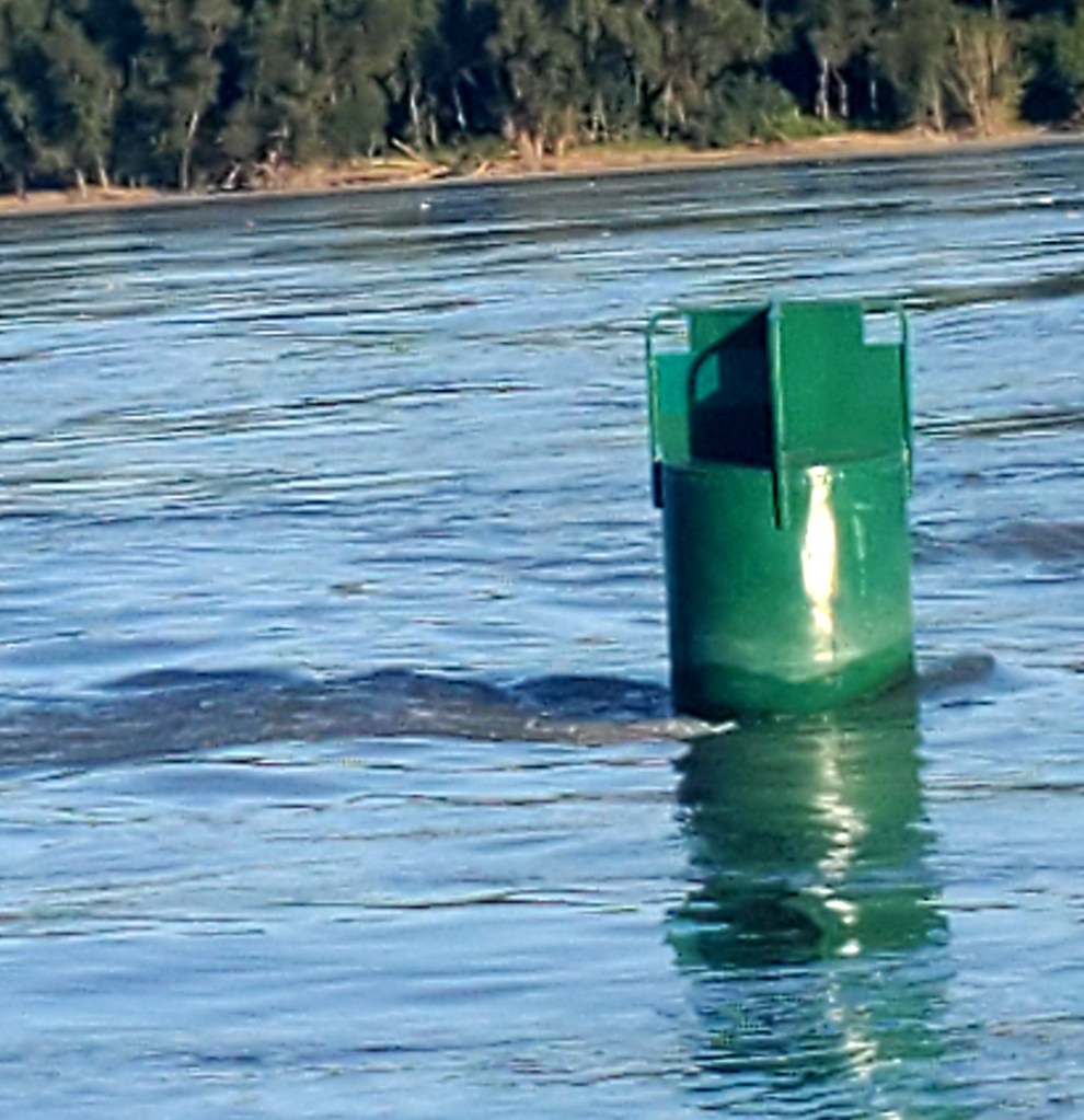 This image has an empty alt attribute; its file name is current-around-can.jpg