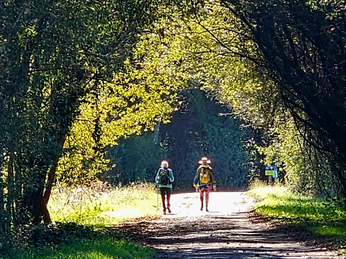 “The Way:” A Spiritual&nbsp;Perspective