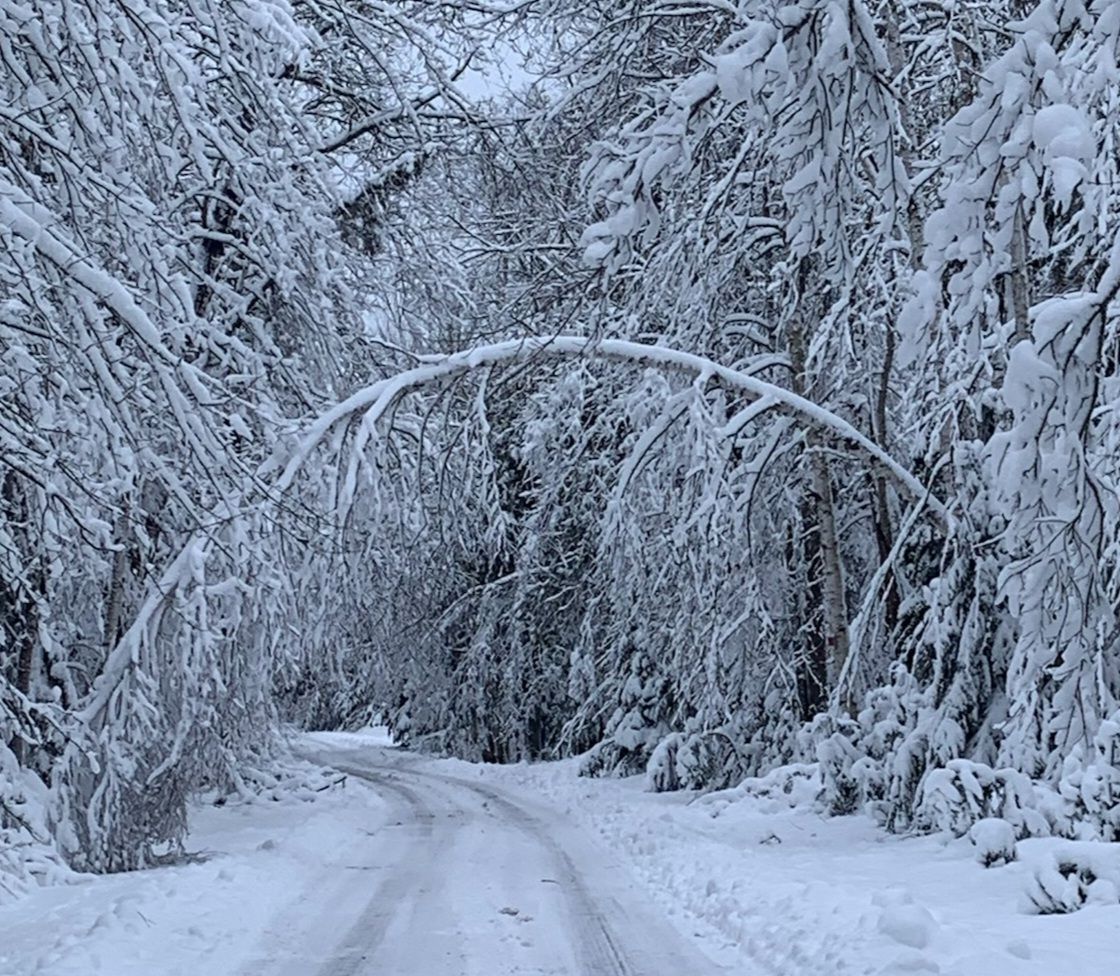 Woods on a Snowy&nbsp;Evening