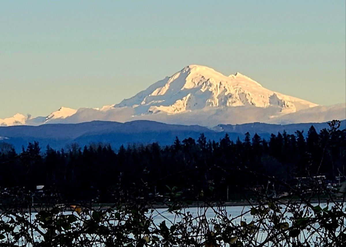 Clearing The Clutter