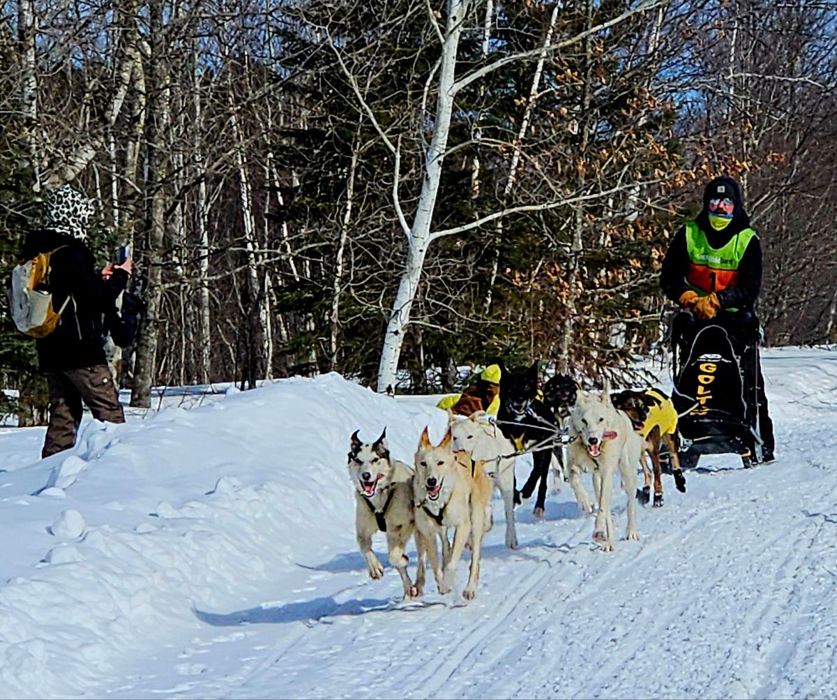 Dogs & Deer + Humans =&nbsp;?