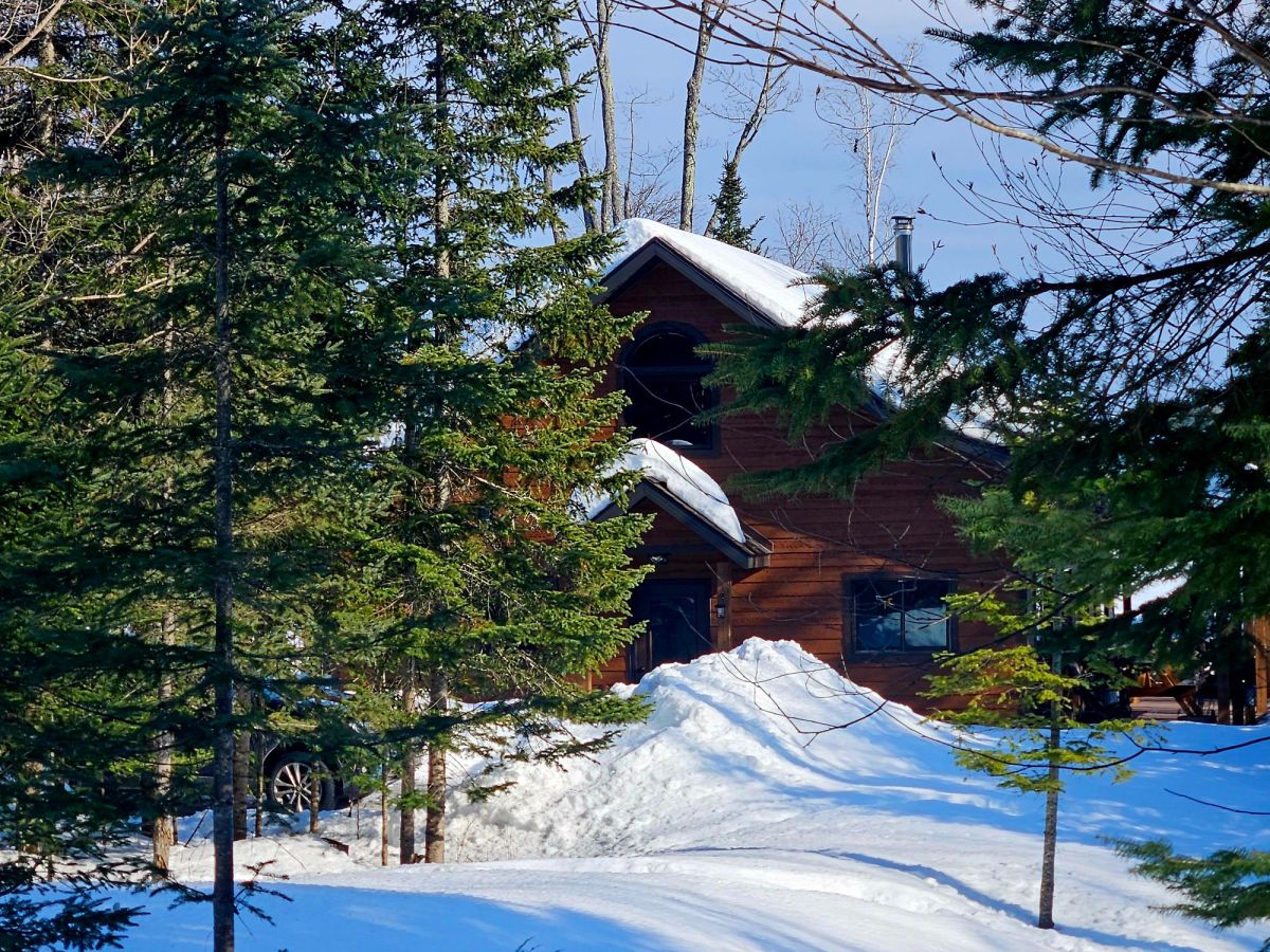 Losing “The War,” Finding&nbsp;Nature