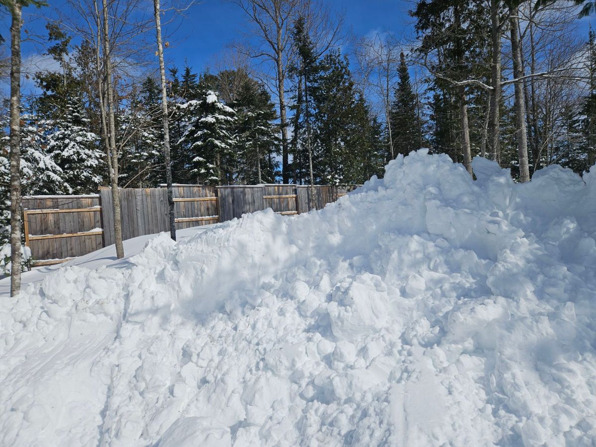 Winter Storm Iona – Prediction vs.&nbsp;Outcome