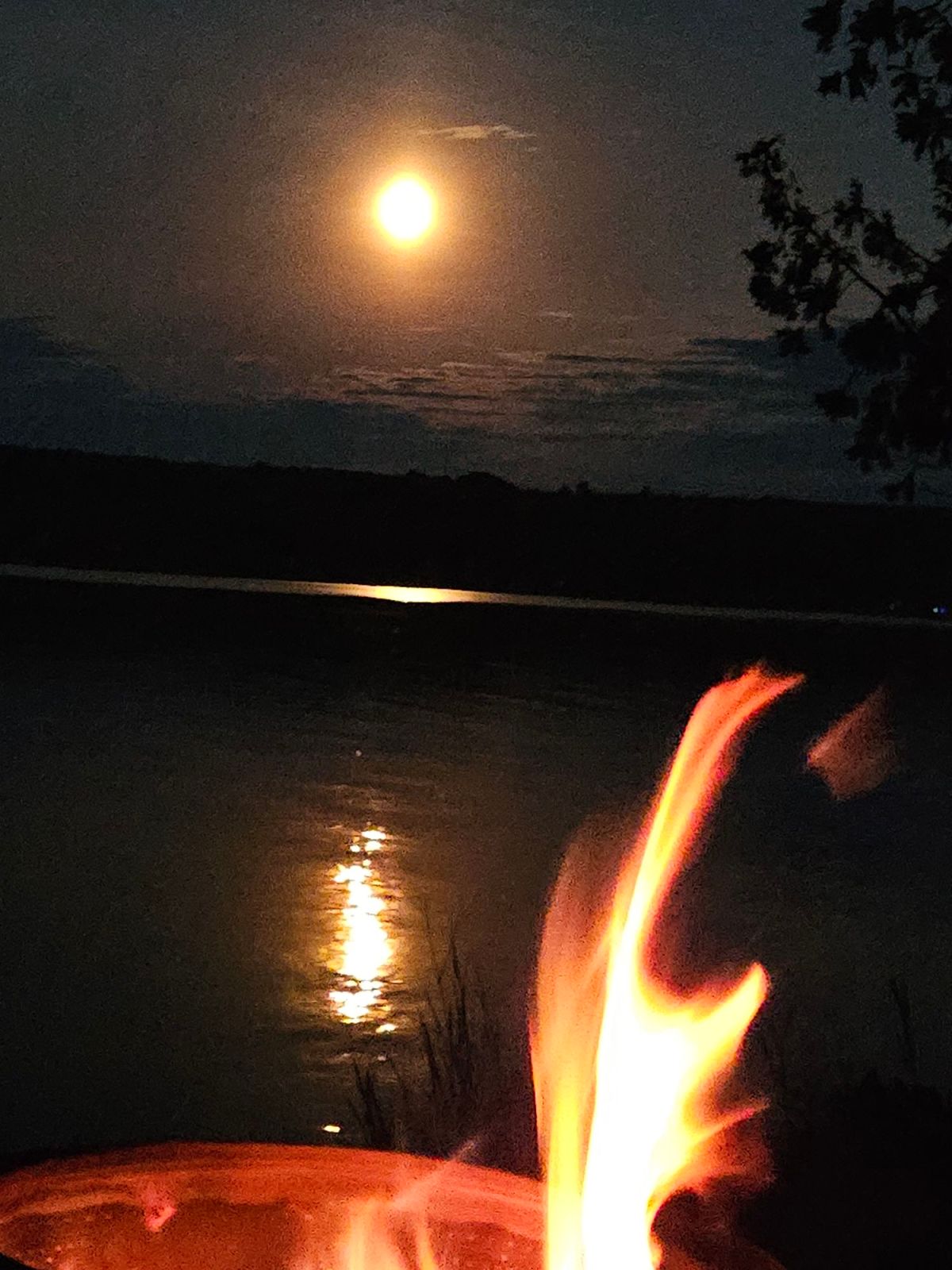 Wow. Nature’s Work.