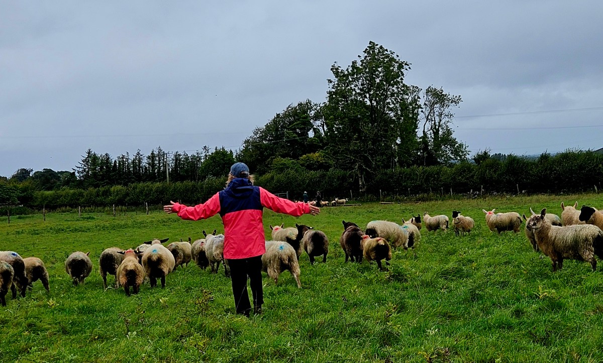 Ireland – Via Farm &&nbsp;Family